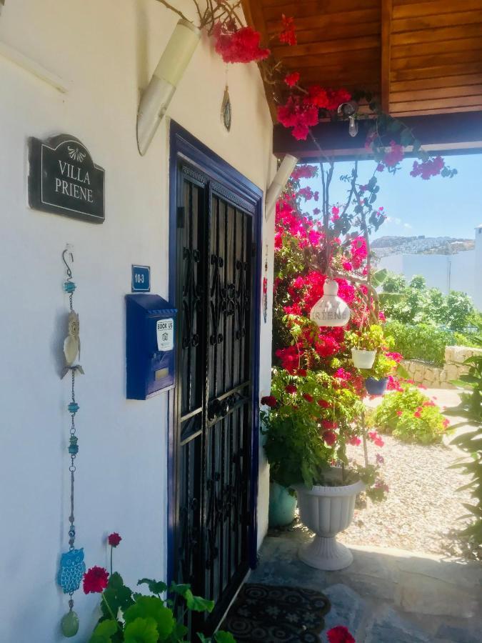 Villa Priene - Gumusluk Private Pool Bagian luar foto